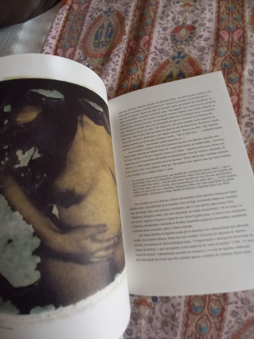 Revista especial sobre Augustina Bessa Luís