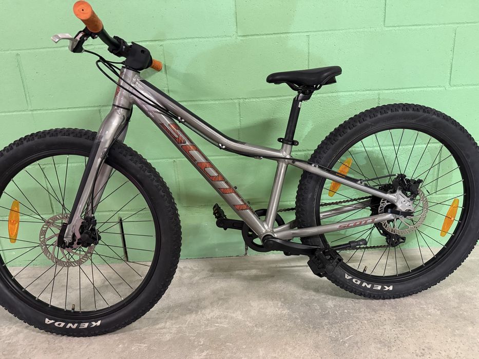 Scott roxter roda 20