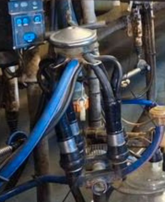 Aparat udojowy Harmony Alfa Laval DeLaval