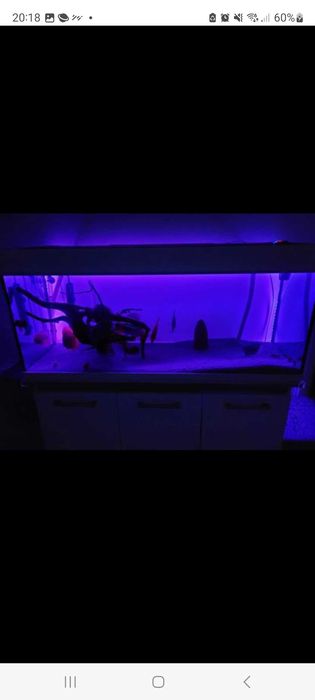 Aquario 250lts + movel + filtros + extras