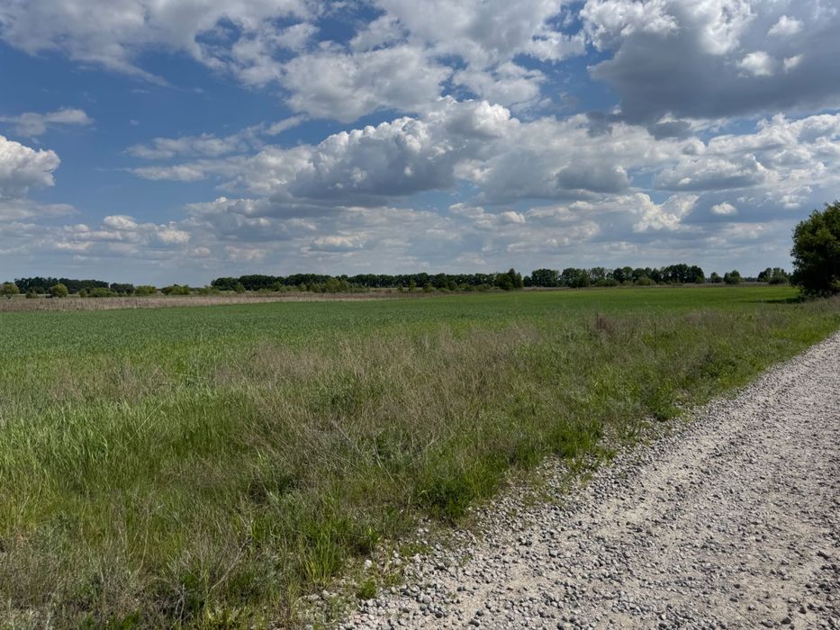 Житомирська траса село Бузова 2га під котеджі 250 у.о.