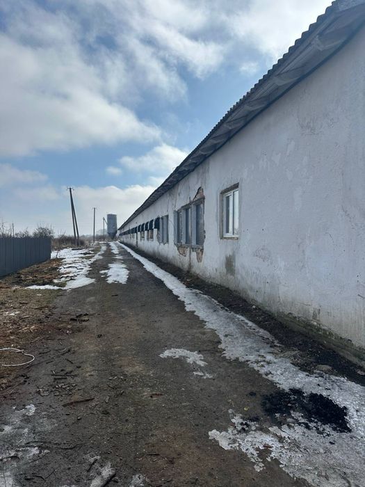 Продається ферма по вирощуванні птахів