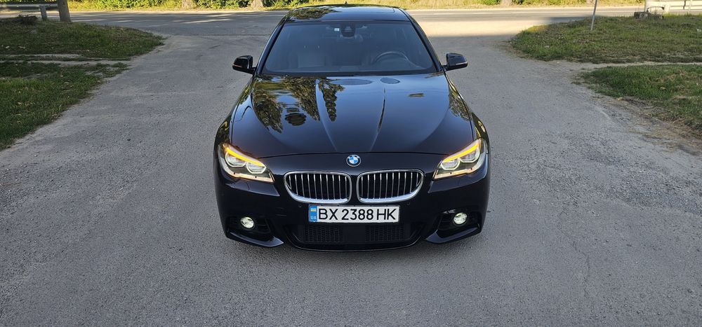 BMW 5 Series 2015 VIN WBA5A51090G178461 фото оголошення 9 з 24