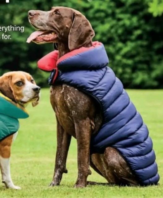 Куртка бомбер двохстороння pet collection, розмір xs/s