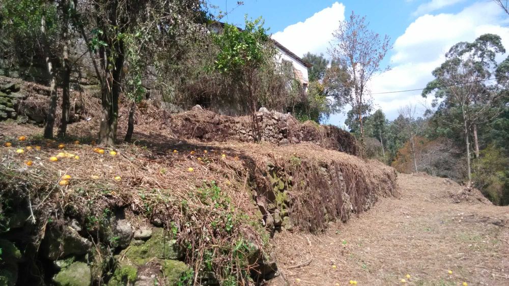 Quinta com casa para reconstrução e vista desafogada – Excelente exposição solar