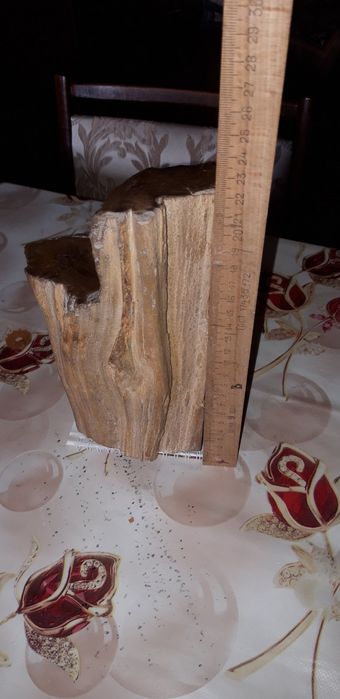 Продам окаменелое дерево из коллекции