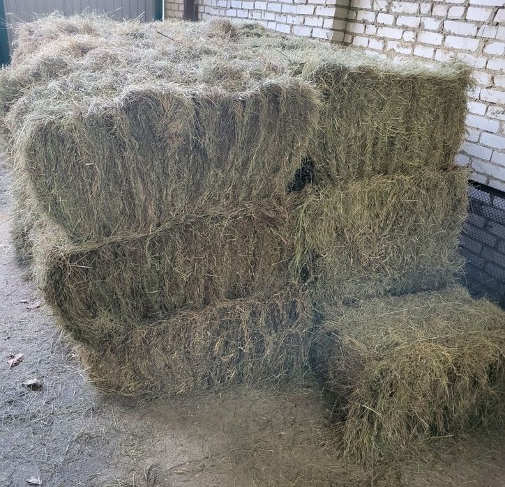 Сіно Солома Отава Люцерква
