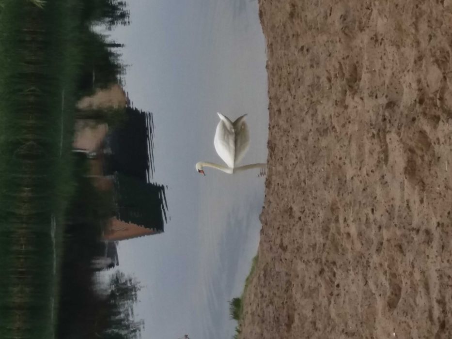 Власник. Біля річки та лісу Хотянівка. Вишгород. Новий будинок 99 м2+