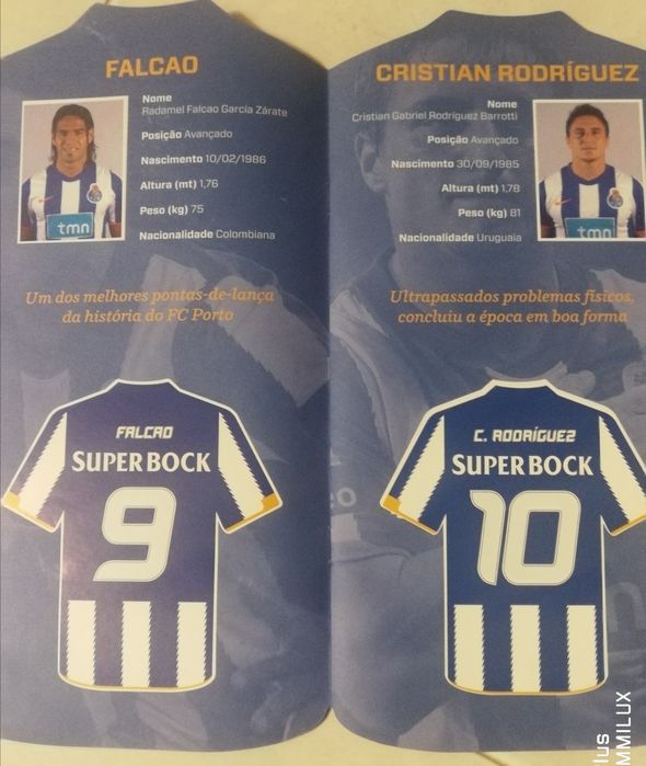 Caderneta FCPorto campeão