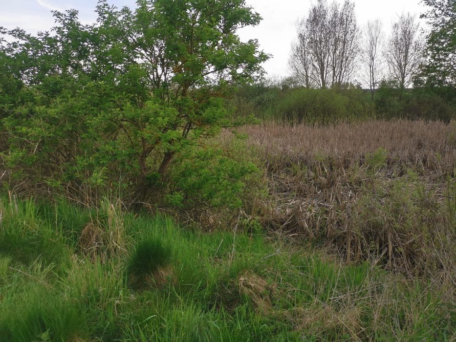Działka budowlana