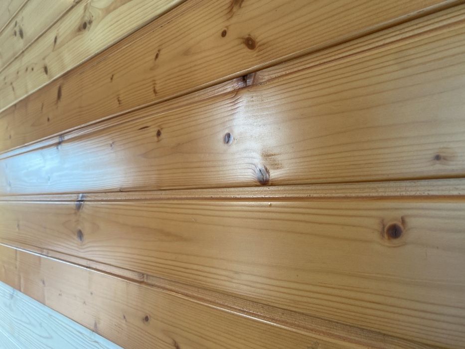 Forro de Casquinha Branca Cor MEL