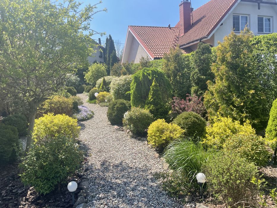 Domek na Mazurach nad jeziorem z linia brzegowa