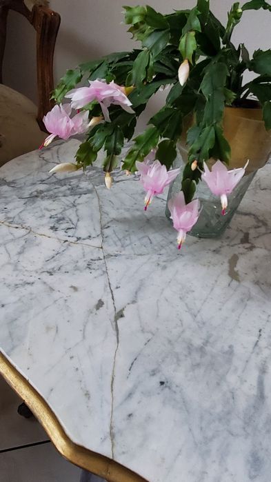 Stolik kawowy z  białego  marmuru