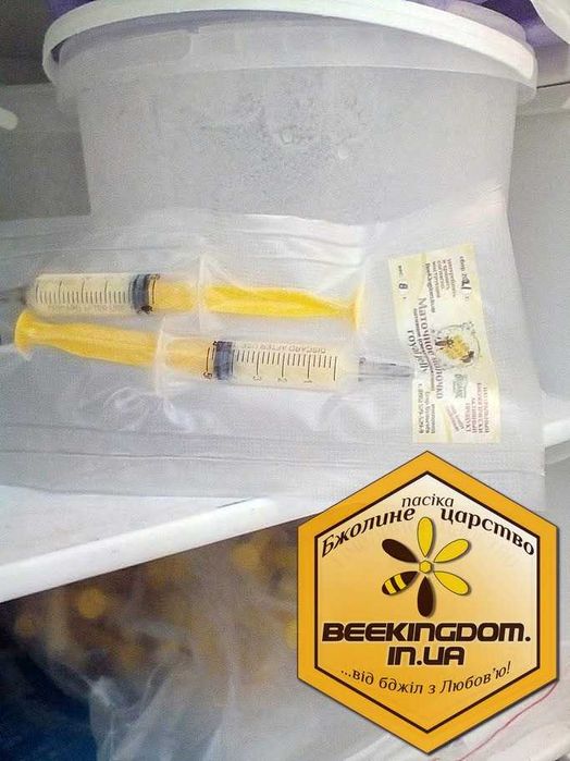 Маточне молочко свіжо-заморожене (на 30д курс) - відновлює організм