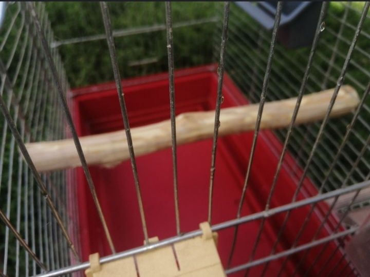 Клітка для птахів бу