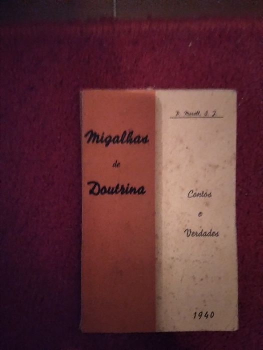 Fernando Amado,  Sinais de campanha