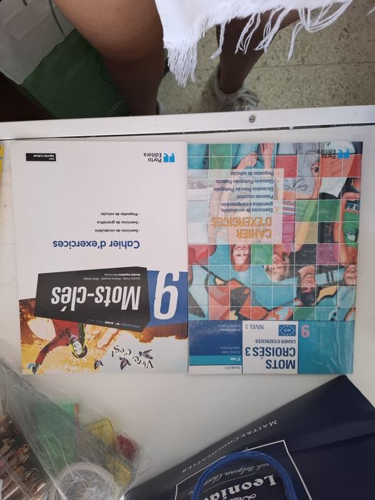 diversos cadernos de atividades e manuais