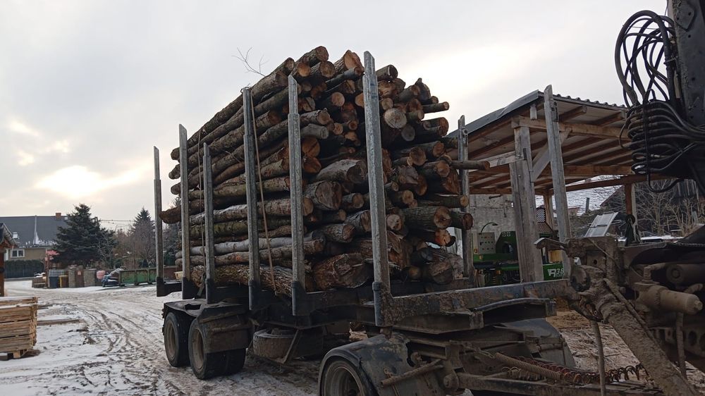 Drewno opałowe suche lisciaste w kłodzie