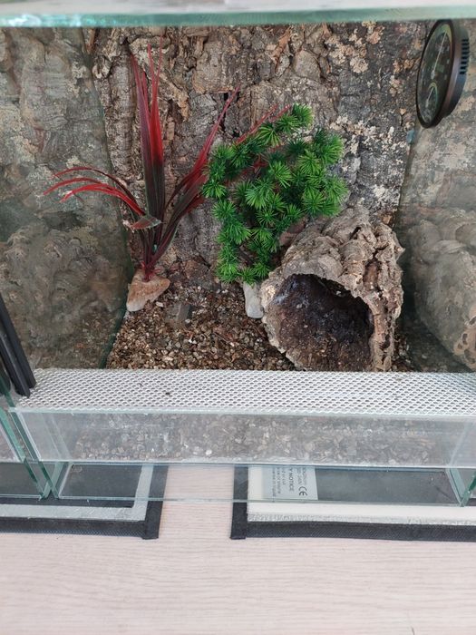 Terrarium dla pająka, gekona, modliszki, patyczaka... 30x30x30 z gilotyną szklane