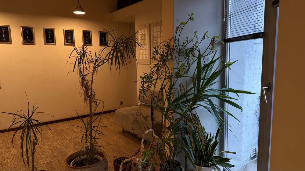 Саксаганського 58,  центр  Київа, представницький офіс