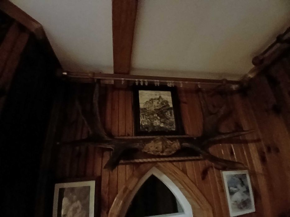 Роги   лося з Якутії оленя