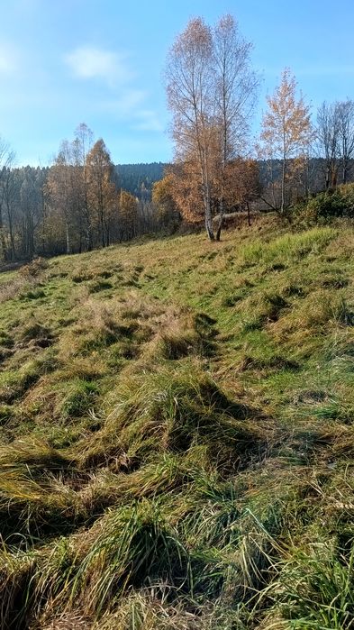 Działka budowlana w górach Sucha Beskidzka - View 5