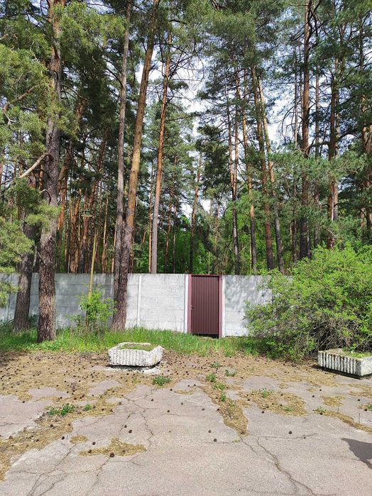 Чернігівська Конча-Заспа-Елітний будинок у сосновому лісі Снов’янка/SZ