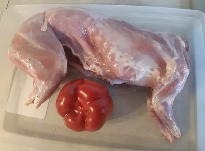 Sprzedam tusze królicze