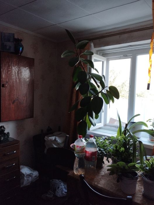 Продам дом Змиёв Чемужовка