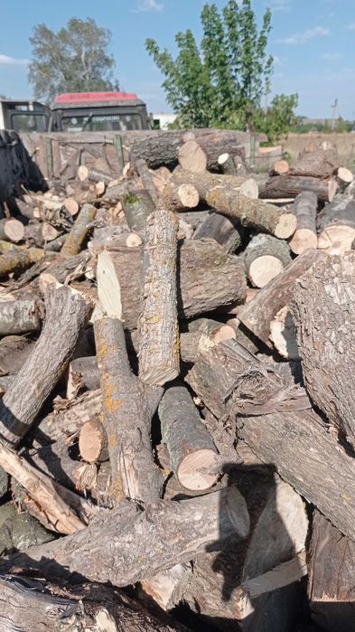 Дрова пиляні /не пиляні твердих порід,від 5 М³