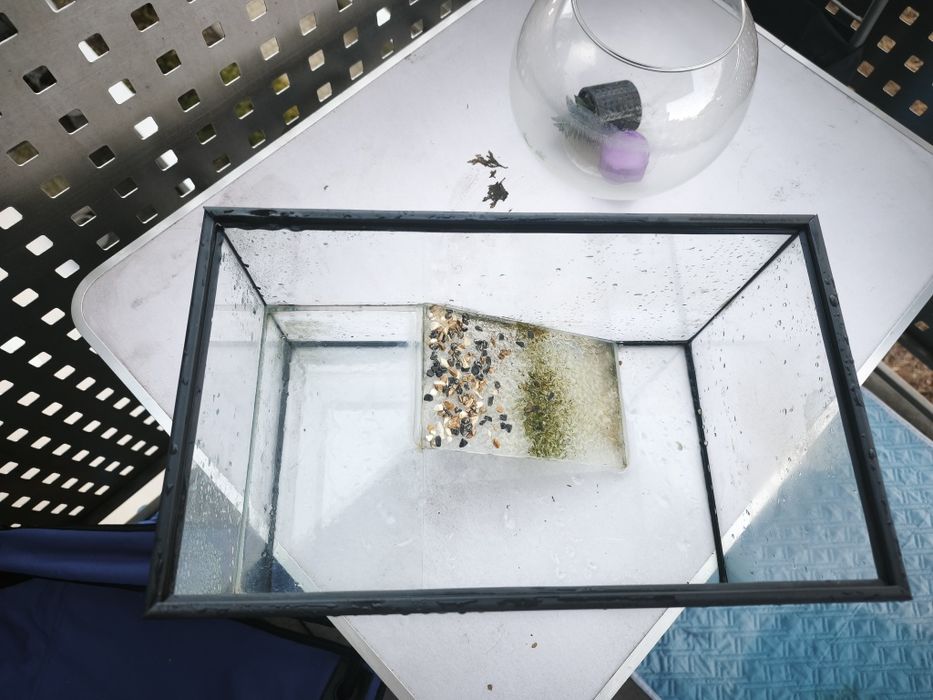 Akwarium dla żółwia