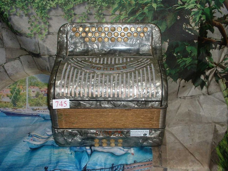 Concertina a venda n.745 Penedono • OLX Portugal