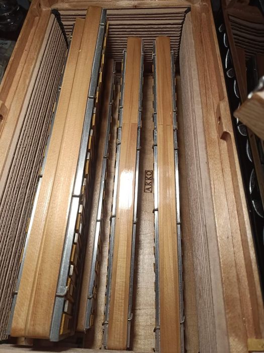 Bajan AKKO (2021) kanałowy z konverterem