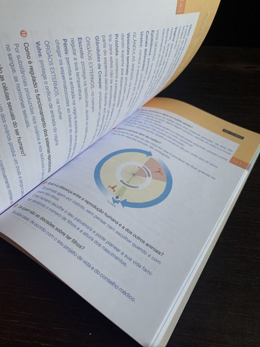 Livro apoio multidisciplinar 6ano