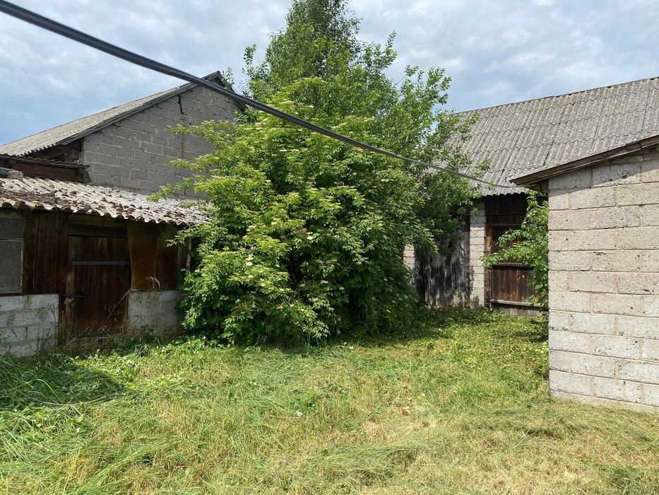 Sprzedam dom z zabudowaniami – Mroczków Duży, gm. Opoczno - View 3