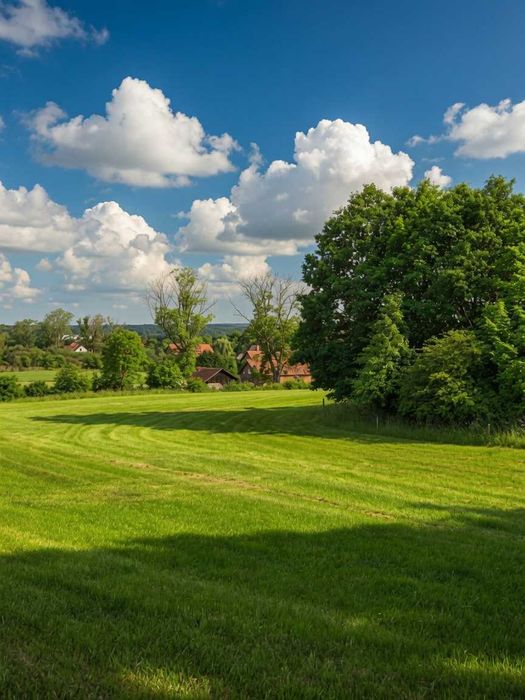 Dom – Morąg - Widok 4