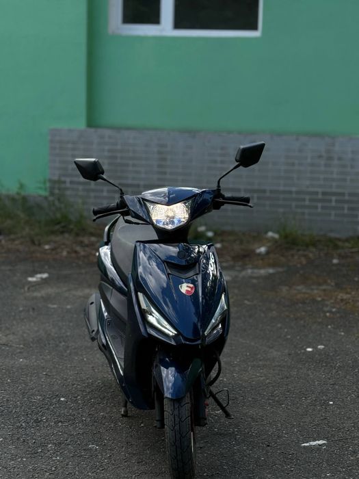 Forte jog 80 2021