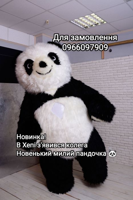 Аніматор білий ведмідь Хепі та великий Панда. Аніматори Коломия