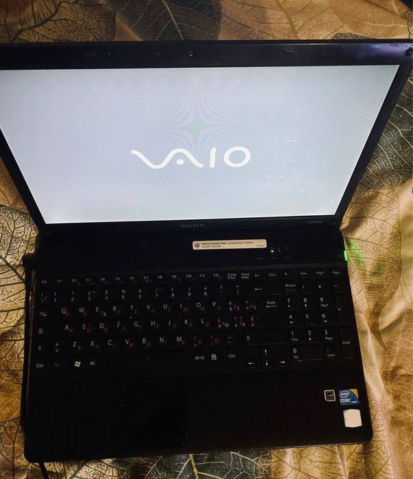 Sony VAIO PCG-71313M