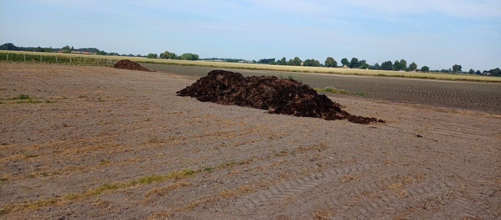obornik bydlęcy oraz kurzy ! Zapewniam transport oraz rozrzucanie !