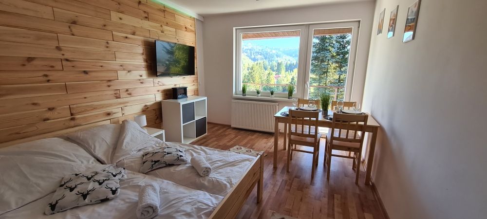 Apartamenty 4-osobowe z aneksami kuchennymi, jacuzzi, sauna, basen