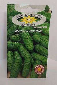 Насіння моркви, огірків, петрушки, квітів... Обмін на пшеницю, кукуруд