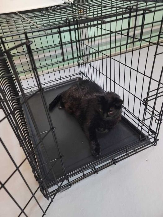 Клітка вольер клетка переноска для собак кошек птиц Польша 6-розмірів