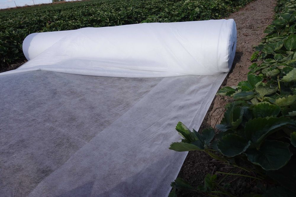 Agrowłóknina 23g POL włóknina okrycie na ziemniaki truskawki ogórki WB