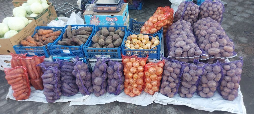 Продам цибулю буряк морква картоплю капусту