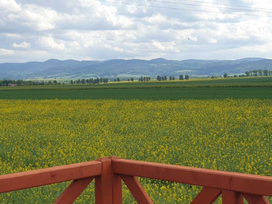 DZIAŁKA budowlana 10ar działka nad jeziorem OTMUCHÓW domek 35m2 TRZEBOSZOWICE