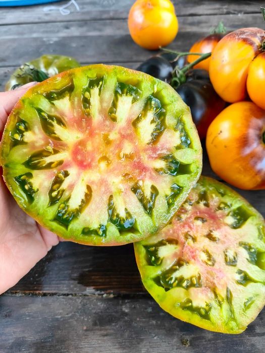 Набір насіння томатів "Український"