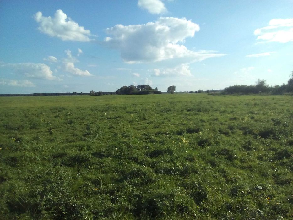 Sprzedam działkę 0,4 ha