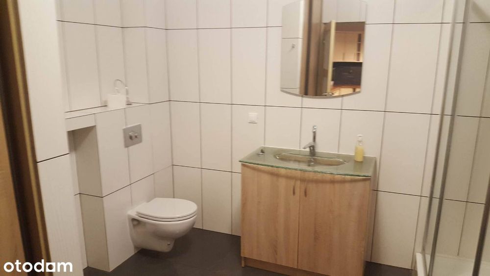 Lokal użytkowy (centrum).