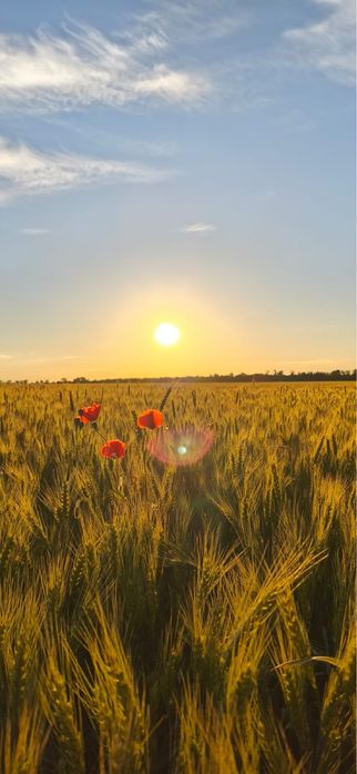Продам ділянку під забудову
